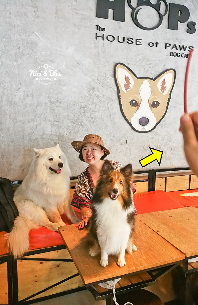 HoPs Dog Cafe泰國曼谷狗狗餐廳bkk 15