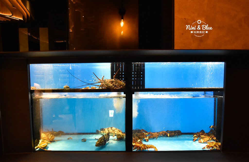月暮藏涮涮鍋 台中新店 火鍋 海鮮 和牛04
