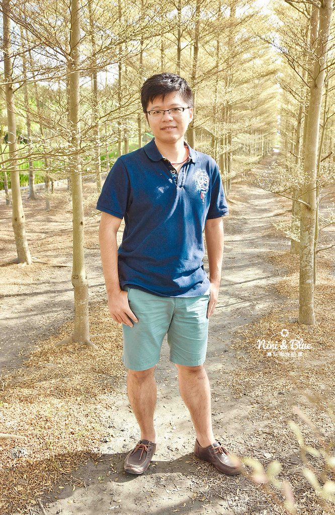 彰化田尾景點 小葉欖仁 冬季戀歌14