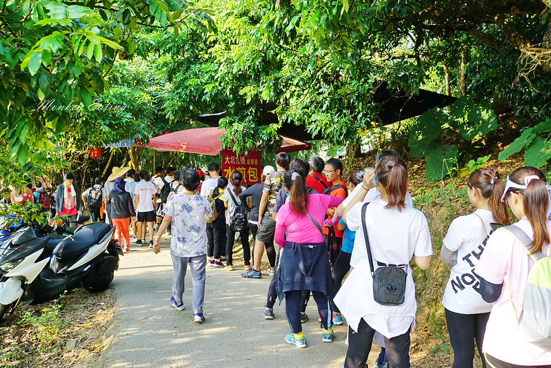 【台中北屯】超普通水煎包!大坑九號步道排隊美食,周末限定人氣水煎包,皮Q餡飽滿,加辣椒醬更好吃! @Nini and Blue 玩樂食記 DSC05642