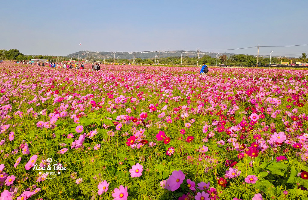 新社花海201909