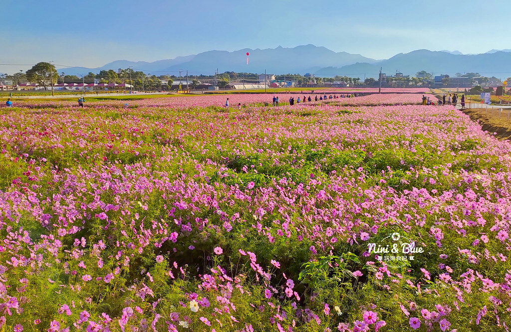新社花海201905