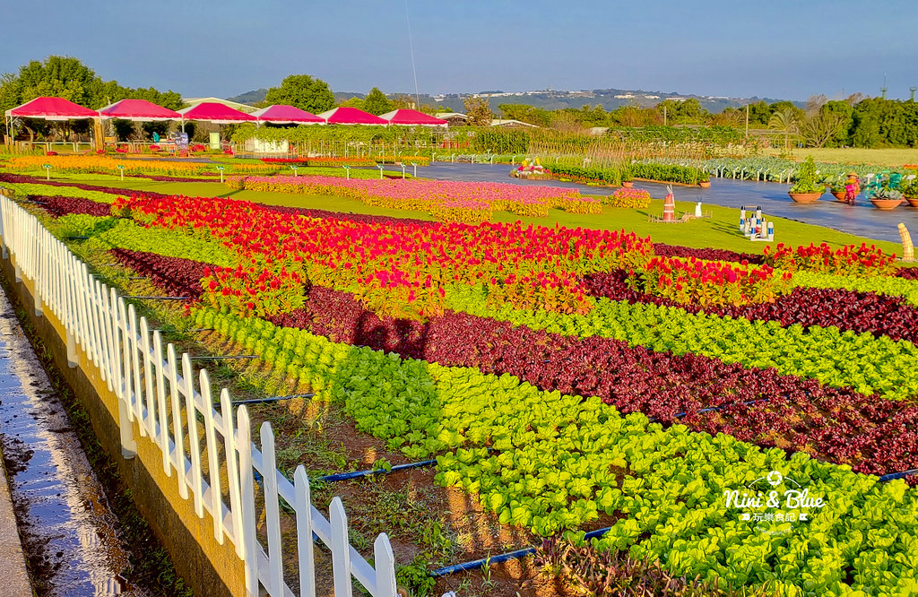 新社花海201904
