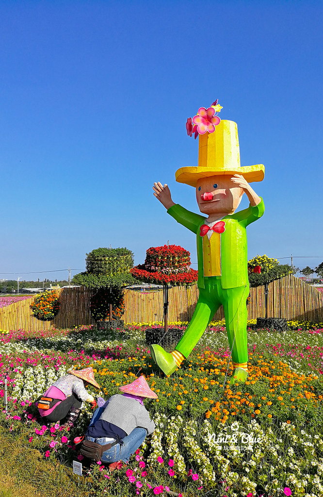 新社花海201902