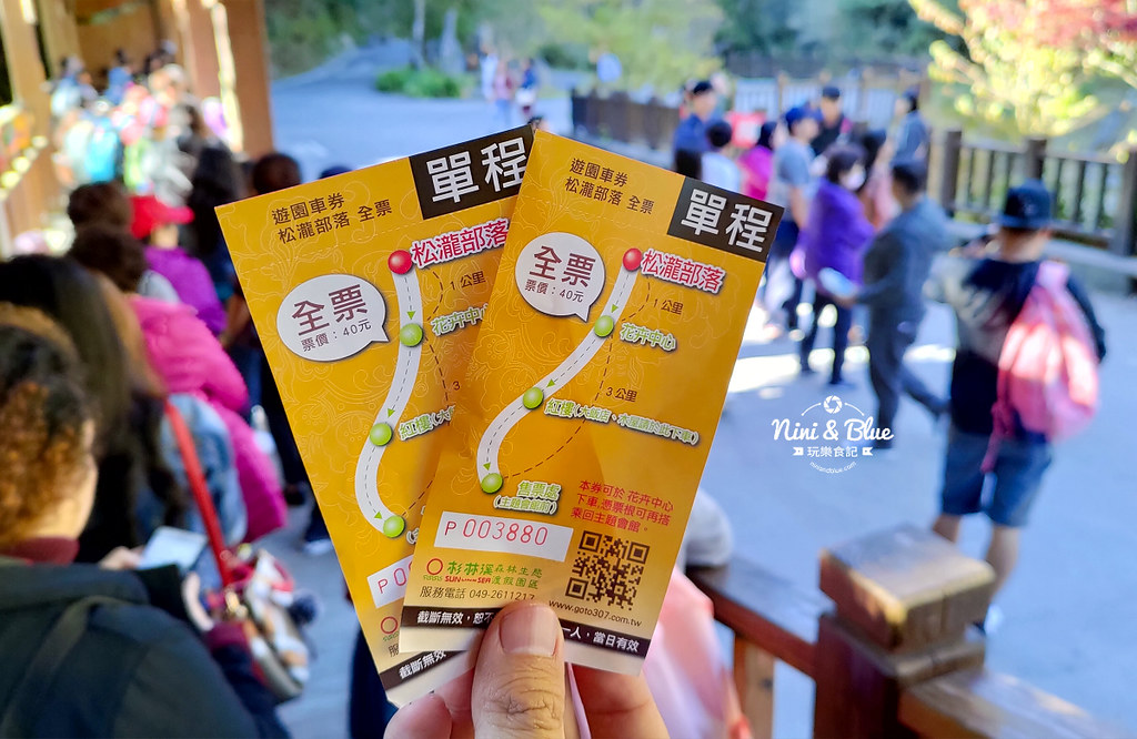 杉林溪 落羽松 水杉 楓葉 門票旅展  南投景點40