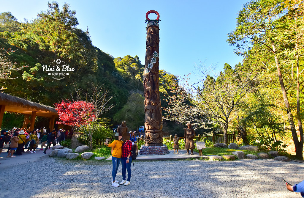 杉林溪 落羽松 水杉 楓葉 門票旅展  南投景點26