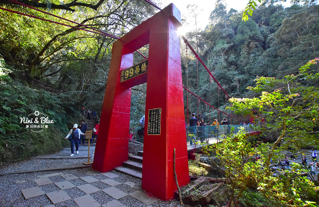 杉林溪 落羽松 水杉 楓葉 門票旅展  南投景點19