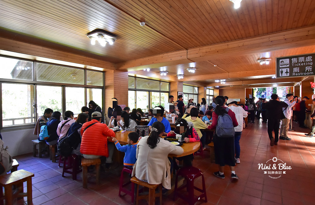 杉林溪 落羽松 水杉 楓葉 門票旅展  南投景點09