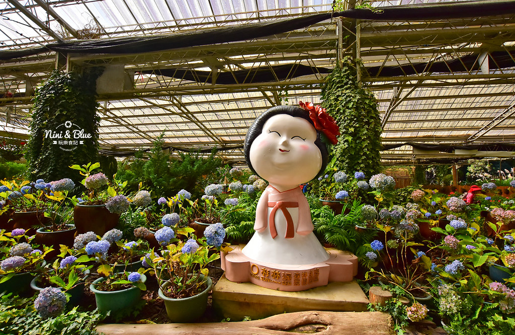 杉林溪 落羽松 水杉 楓葉 門票旅展  南投景點08