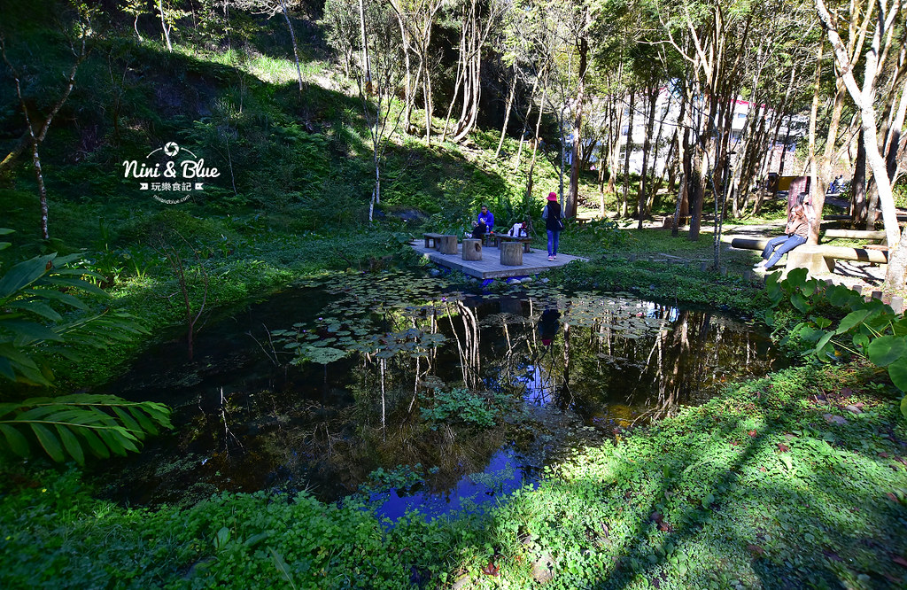 杉林溪 落羽松 水杉 楓葉 門票旅展  南投景點03