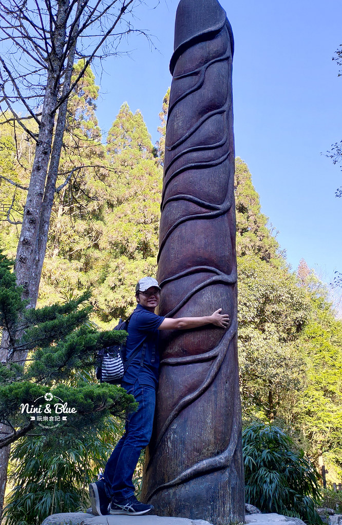 杉林溪 落羽松 水杉 楓葉 門票旅展  南投景點39