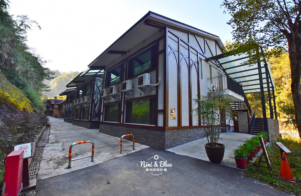 杉林溪 落羽松 水杉 楓葉 門票旅展  南投景點29