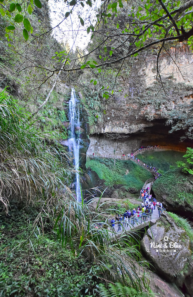 杉林溪 落羽松 水杉 楓葉 門票旅展  南投景點25