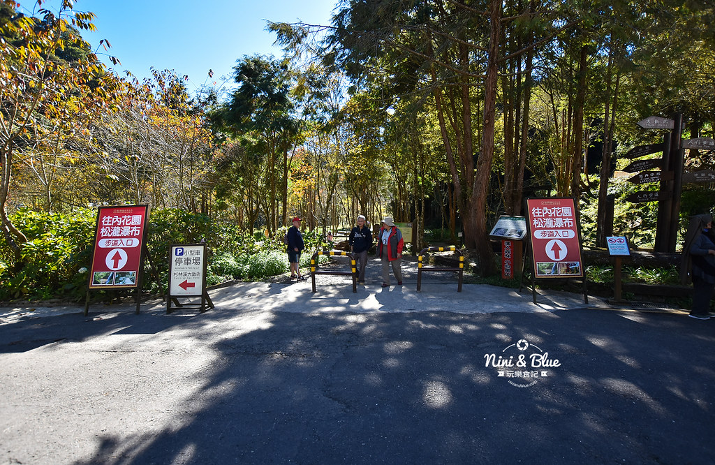 杉林溪 落羽松 水杉 楓葉 門票旅展  南投景點01
