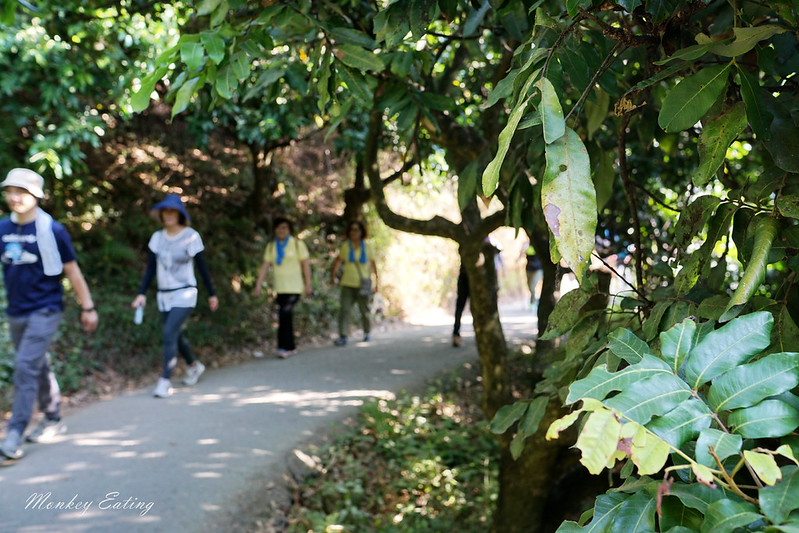 台中景點│台中北屯大坑九號登山步道,台中一日遊推薦,大坑9號步道美食小吃攻略 @Nini and Blue 玩樂食記 DSC05761