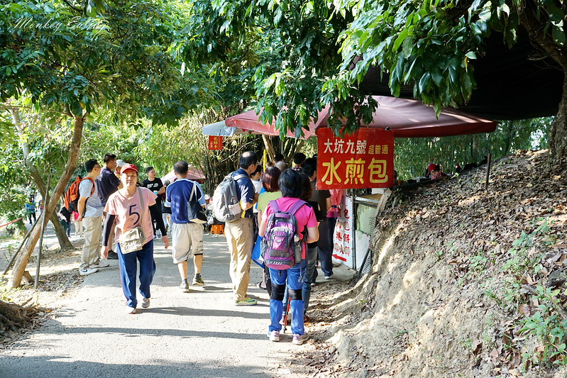 台中景點│台中北屯大坑九號登山步道,台中一日遊推薦,大坑9號步道美食小吃攻略 @Nini and Blue 玩樂食記 DSC05754