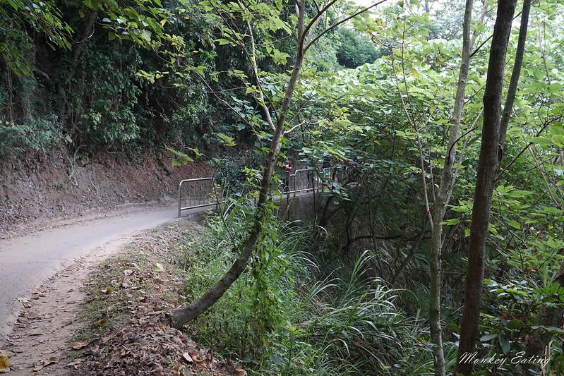 台中景點│台中北屯大坑九號登山步道,台中一日遊推薦,大坑9號步道美食小吃攻略 @Nini and Blue 玩樂食記 DSC05058