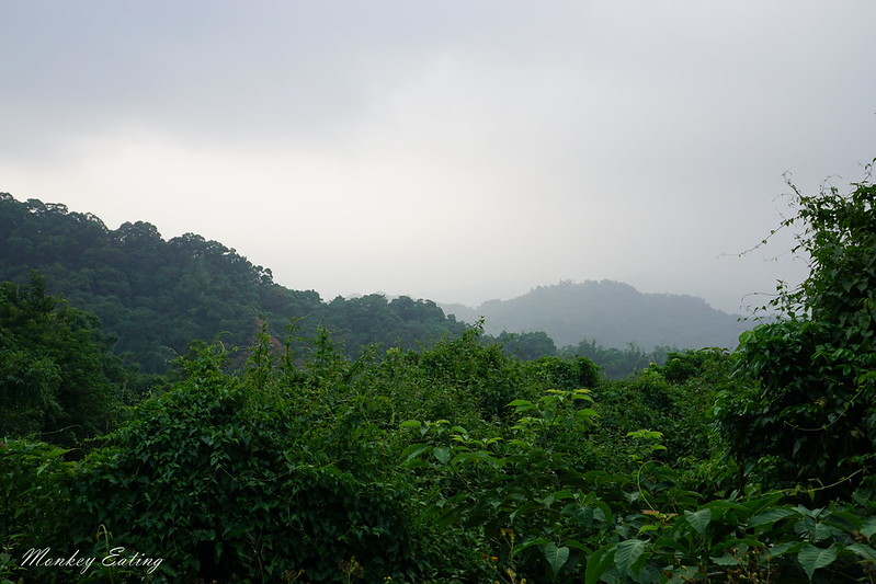 台中景點│台中北屯大坑九號登山步道,台中一日遊推薦,大坑9號步道美食小吃攻略 @Nini and Blue 玩樂食記 DSC05056