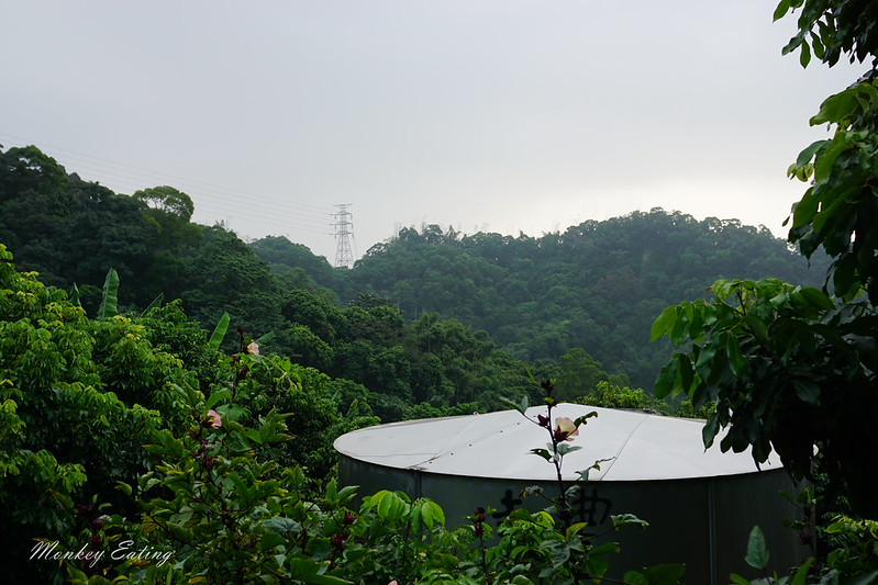 台中景點│台中北屯大坑九號登山步道,台中一日遊推薦,大坑9號步道美食小吃攻略 @Nini and Blue 玩樂食記 DSC05053