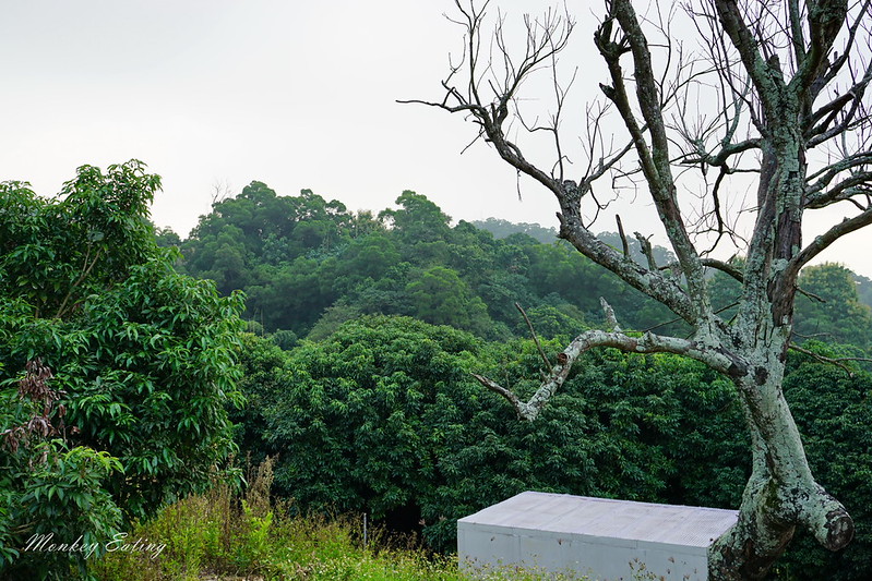 台中景點│台中北屯大坑九號登山步道,台中一日遊推薦,大坑9號步道美食小吃攻略 @Nini and Blue 玩樂食記 DSC05046