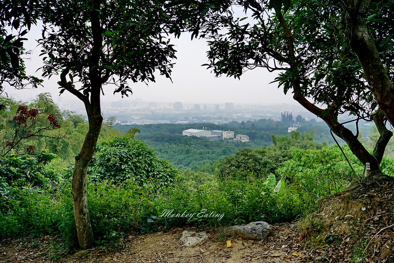 台中景點│台中北屯大坑九號登山步道,台中一日遊推薦,大坑9號步道美食小吃攻略 @Nini and Blue 玩樂食記 DSC05042