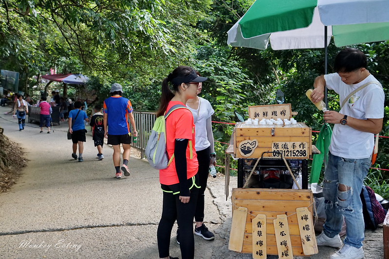 台中景點│台中北屯大坑九號登山步道,台中一日遊推薦,大坑9號步道美食小吃攻略 @Nini and Blue 玩樂食記 DSC05067
