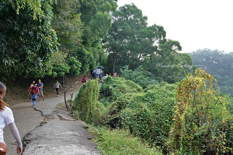 台中景點│台中北屯大坑九號登山步道,台中一日遊推薦,大坑9號步道美食小吃攻略 @Nini and Blue 玩樂食記 DSC05060