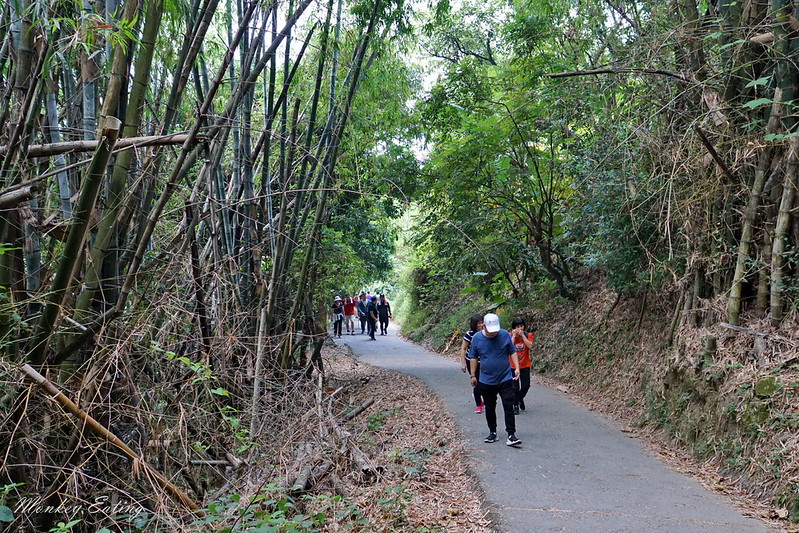 台中景點│台中北屯大坑九號登山步道,台中一日遊推薦,大坑9號步道美食小吃攻略 @Nini and Blue 玩樂食記 DSC05052