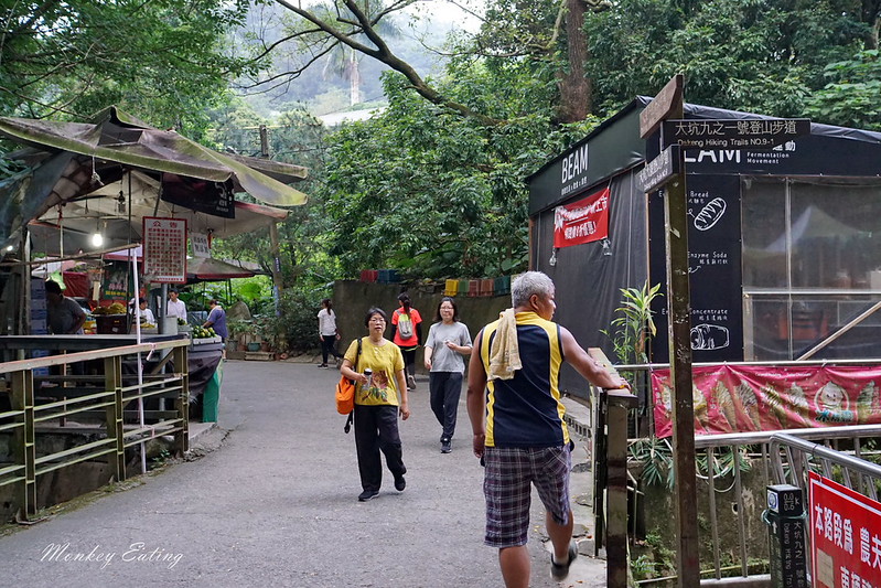 台中景點│台中北屯大坑九號登山步道,台中一日遊推薦,大坑9號步道美食小吃攻略 @Nini and Blue 玩樂食記 DSC05035
