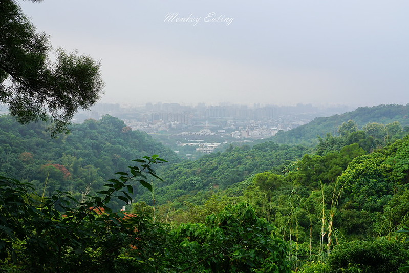 台中景點│台中北屯大坑九號登山步道,台中一日遊推薦,大坑9號步道美食小吃攻略 @Nini and Blue 玩樂食記 DSC05070