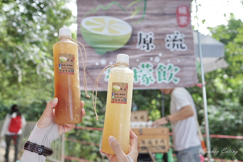 台中景點│台中北屯大坑九號登山步道,台中一日遊推薦,大坑9號步道美食小吃攻略 @Nini and Blue 玩樂食記 DSC05069