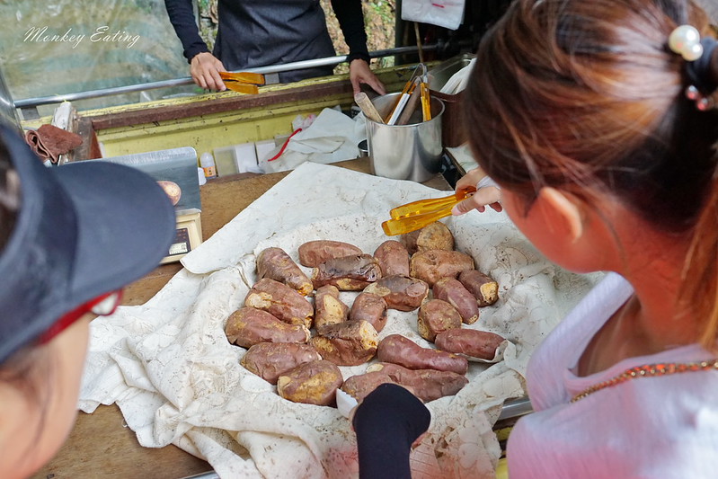 台中景點│台中北屯大坑九號登山步道,台中一日遊推薦,大坑9號步道美食小吃攻略 @Nini and Blue 玩樂食記 DSC05066