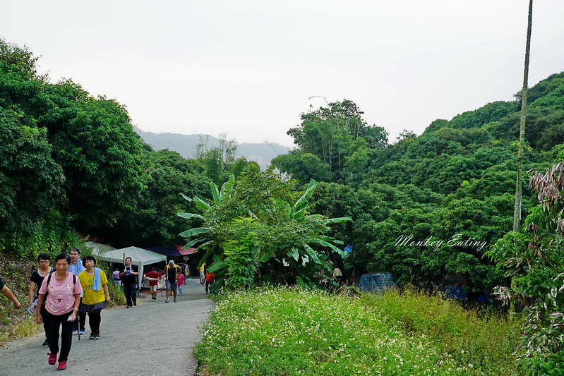 DSC05039