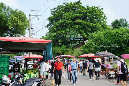 DSC05029