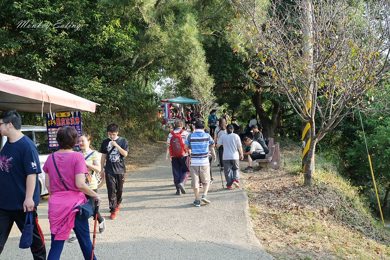 台中景點│大坑九號登山步道,大坑9-1號步道路線攻略,寧靜海觀音亭 @Nini and Blue 玩樂食記 DSC05628