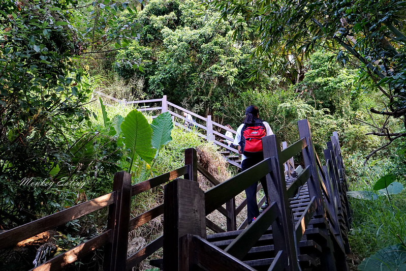 台中景點│大坑九號登山步道,大坑9-1號步道路線攻略,寧靜海觀音亭 @Nini and Blue 玩樂食記 DSC05613