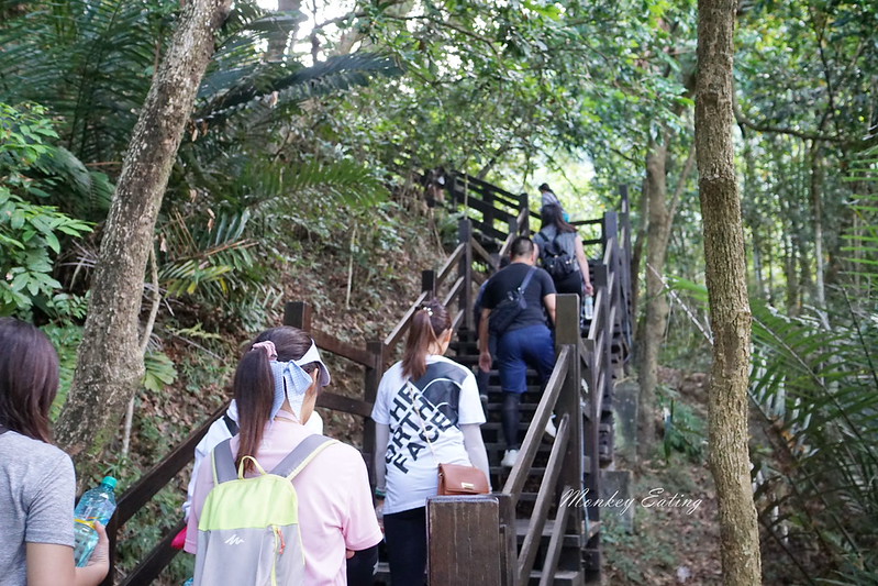 台中景點│大坑九號登山步道,大坑9-1號步道路線攻略,寧靜海觀音亭 @Nini and Blue 玩樂食記 DSC05610
