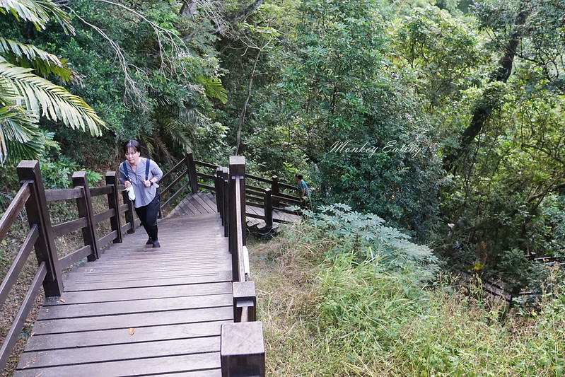 台中景點│大坑九號登山步道,大坑9-1號步道路線攻略,寧靜海觀音亭 @Nini and Blue 玩樂食記 DSC05609