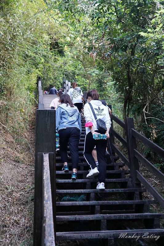 台中景點│大坑九號登山步道,大坑9-1號步道路線攻略,寧靜海觀音亭 @Nini and Blue 玩樂食記 DSC05604