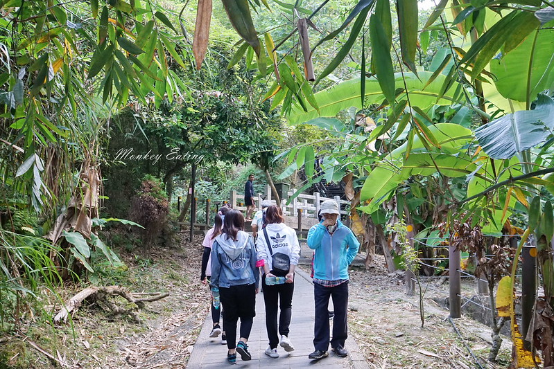 台中景點│大坑九號登山步道,大坑9-1號步道路線攻略,寧靜海觀音亭 @Nini and Blue 玩樂食記 DSC05602