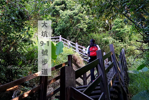 台中大坑-寧靜海觀音亭│大坑9號步道終點休息站,周末有供應免費素食早齋唷 @Nini and Blue 玩樂食記 DSC05613