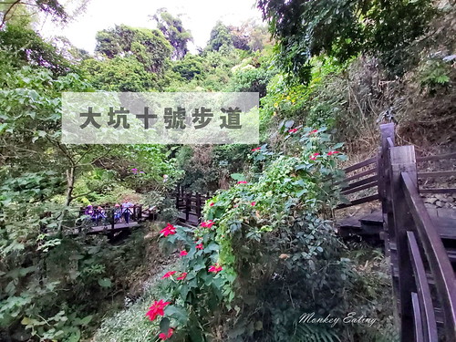 台中大坑-寧靜海觀音亭│大坑9號步道終點休息站,周末有供應免費素食早齋唷 @Nini and Blue 玩樂食記 20191201_081334_17
