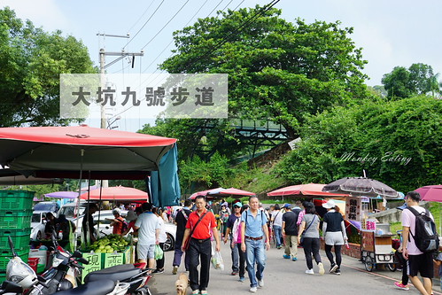 DSC05029