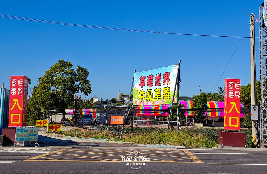 草莓世界.台中草莓201903