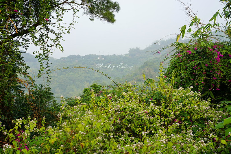 DSC07270