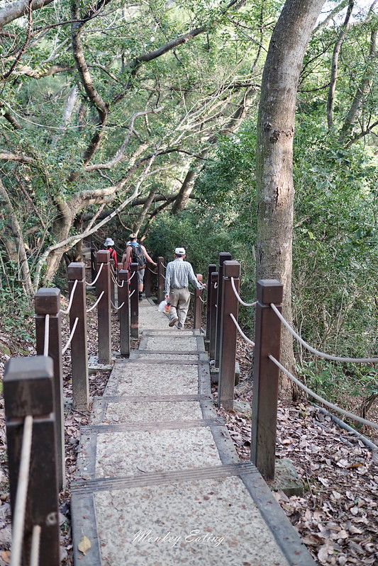 台中景點│大坑6號登山步道。峭壁繩索吊橋好刺激,沿途經觀音亭到風動石公園 @Nini and Blue 玩樂食記 DSC07416