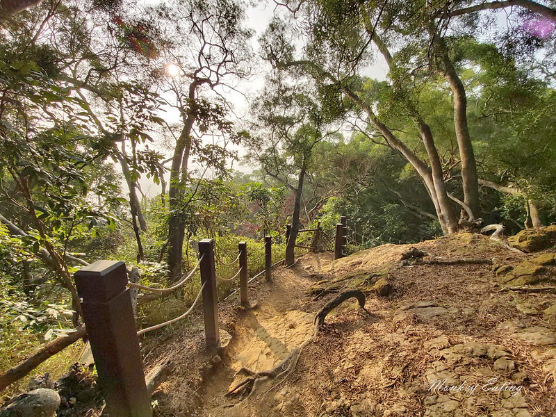 台中景點│大坑6號登山步道。峭壁繩索吊橋好刺激,沿途經觀音亭到風動石公園 @Nini and Blue 玩樂食記 20200105_081559_11