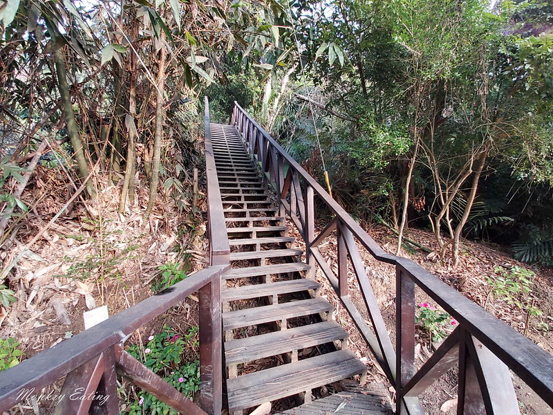 台中景點│大坑6號登山步道。峭壁繩索吊橋好刺激,沿途經觀音亭到風動石公園 @Nini and Blue 玩樂食記 20200105_075603_1
