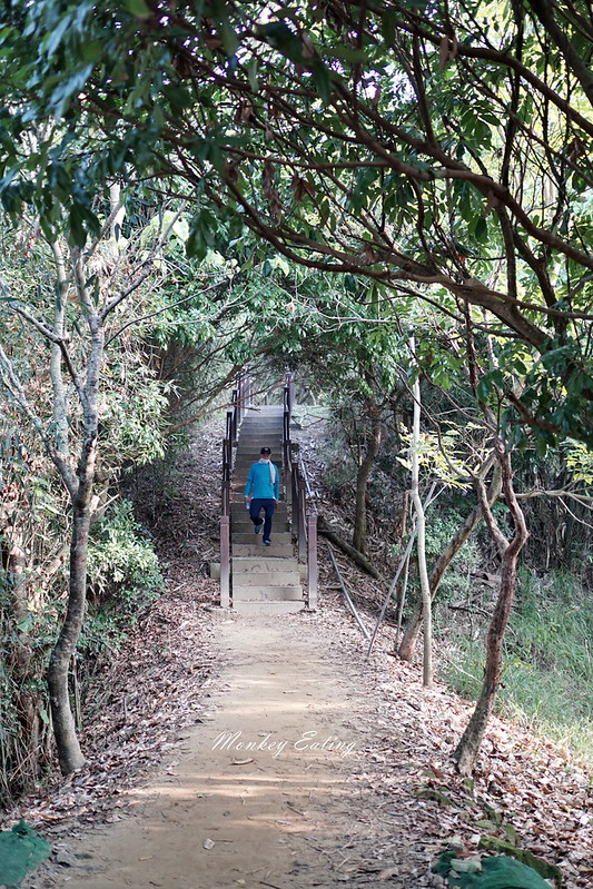 台中景點│大坑6號登山步道。峭壁繩索吊橋好刺激,沿途經觀音亭到風動石公園 @Nini and Blue 玩樂食記 DSC07422