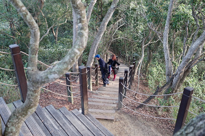 台中景點│大坑6號登山步道。峭壁繩索吊橋好刺激,沿途經觀音亭到風動石公園 @Nini and Blue 玩樂食記 DSC07411